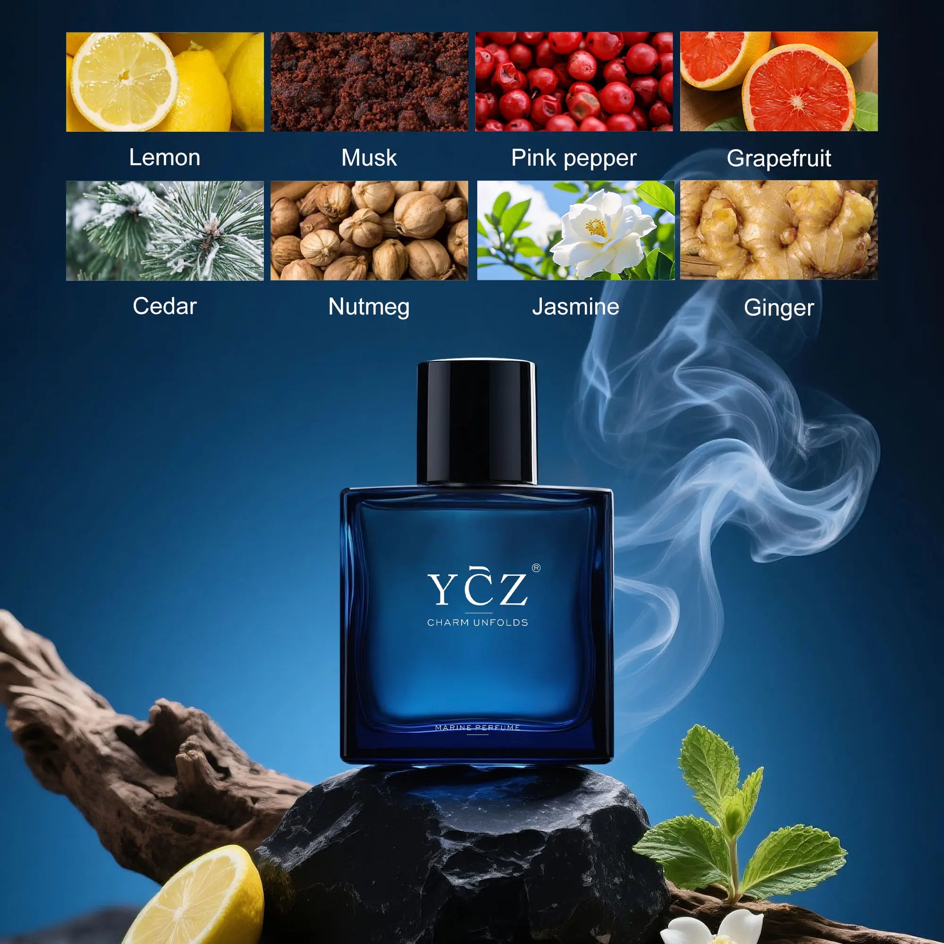 YCZ Midnight Marine Eau De Parfum 50Ml Unisex | Aromatic Aquatic Ocean Fresh Woody Perfume with Bergamot Coconut Amber | Long Lasting Luxury Arabian Fragrance for Men Women | Premium Gift